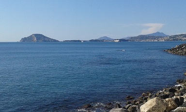 mare